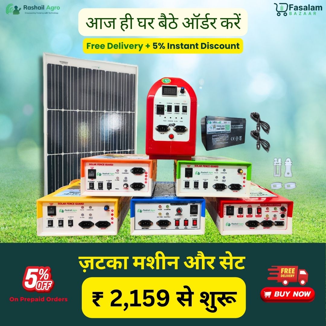 Special Offer undefined