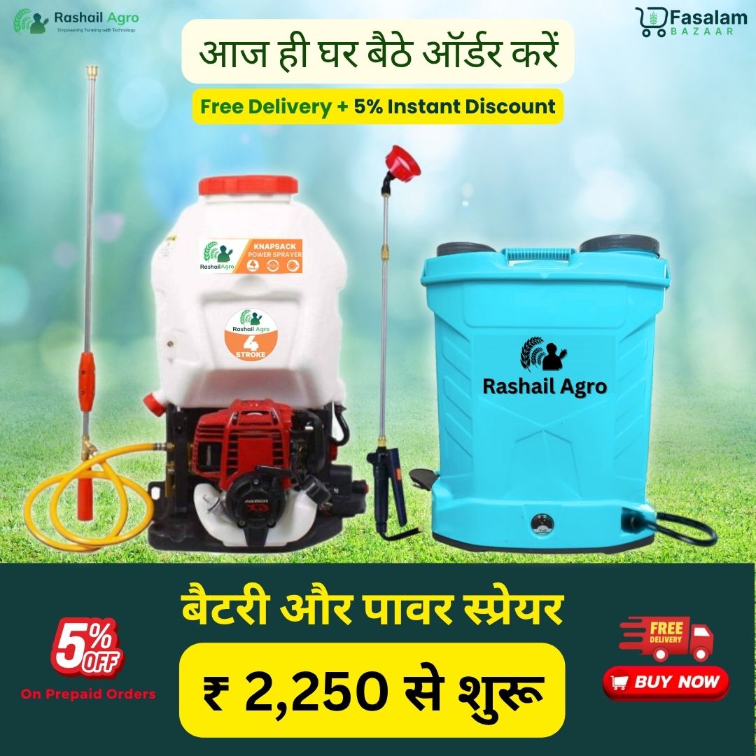 Special Offer undefined