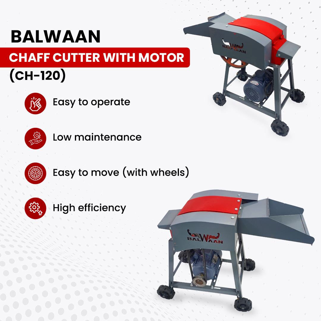 Balwaan Chaff Cutter Ch-120 (With Motor) 6