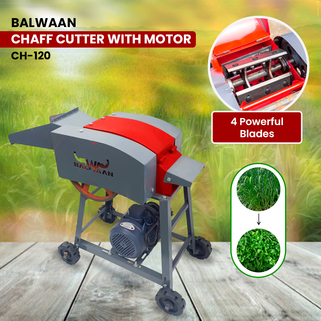 Balwaan Chaff Cutter Ch-120 (With Motor) 5