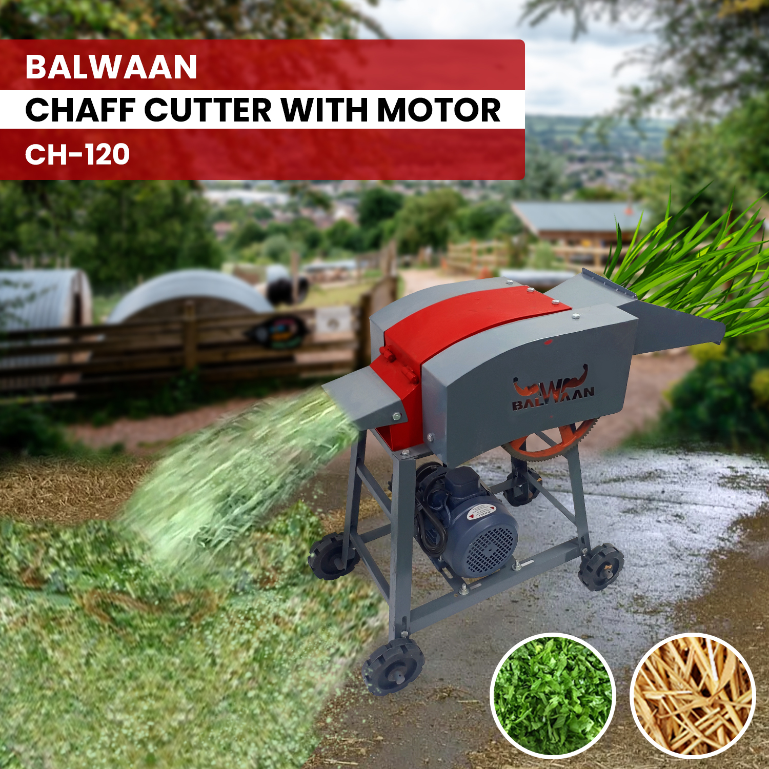 Balwaan Chaff Cutter Ch-120 (With Motor) 4