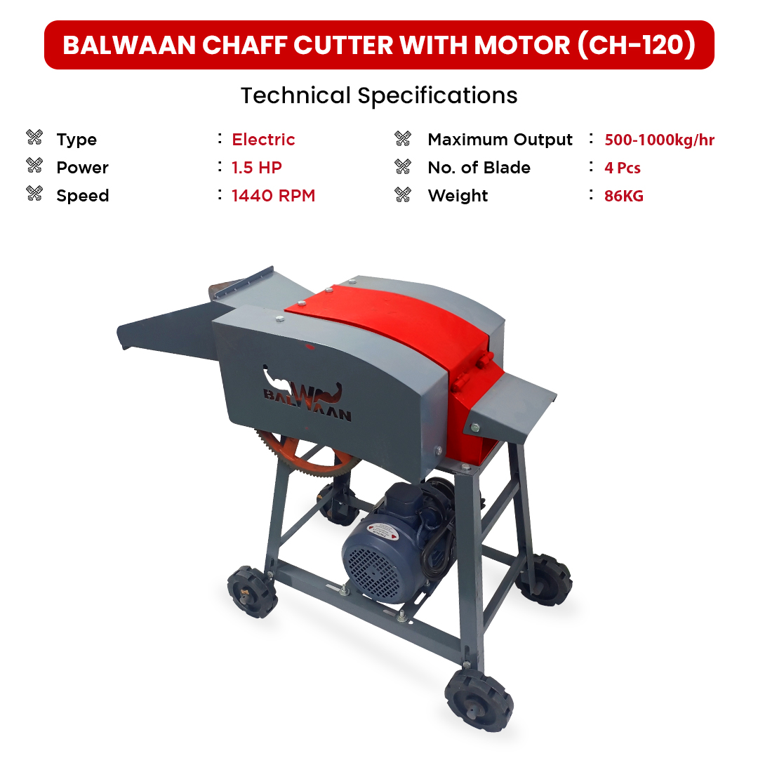 Balwaan Chaff Cutter Ch-120 (With Motor) 3