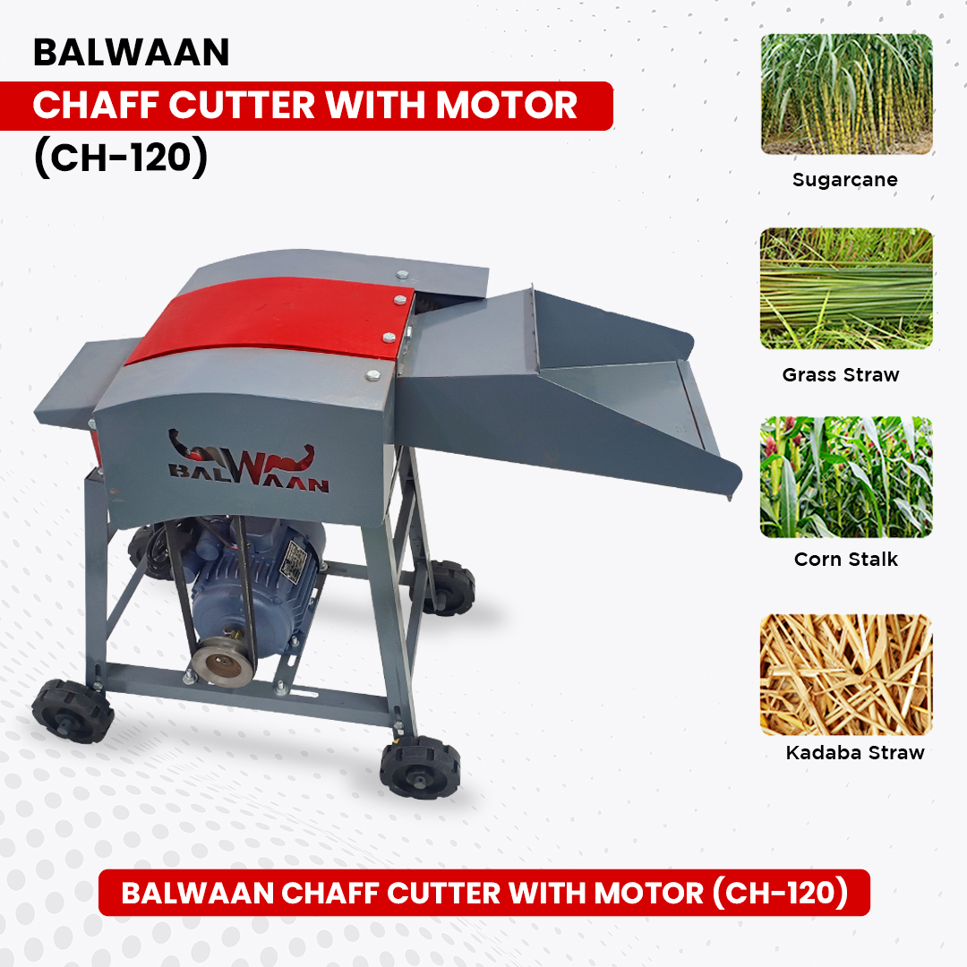 Balwaan Chaff Cutter Ch-120 (With Motor) 2