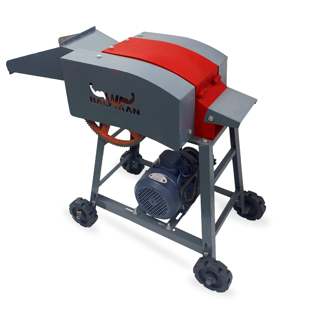 Balwaan Chaff Cutter Ch-120 (With Motor)