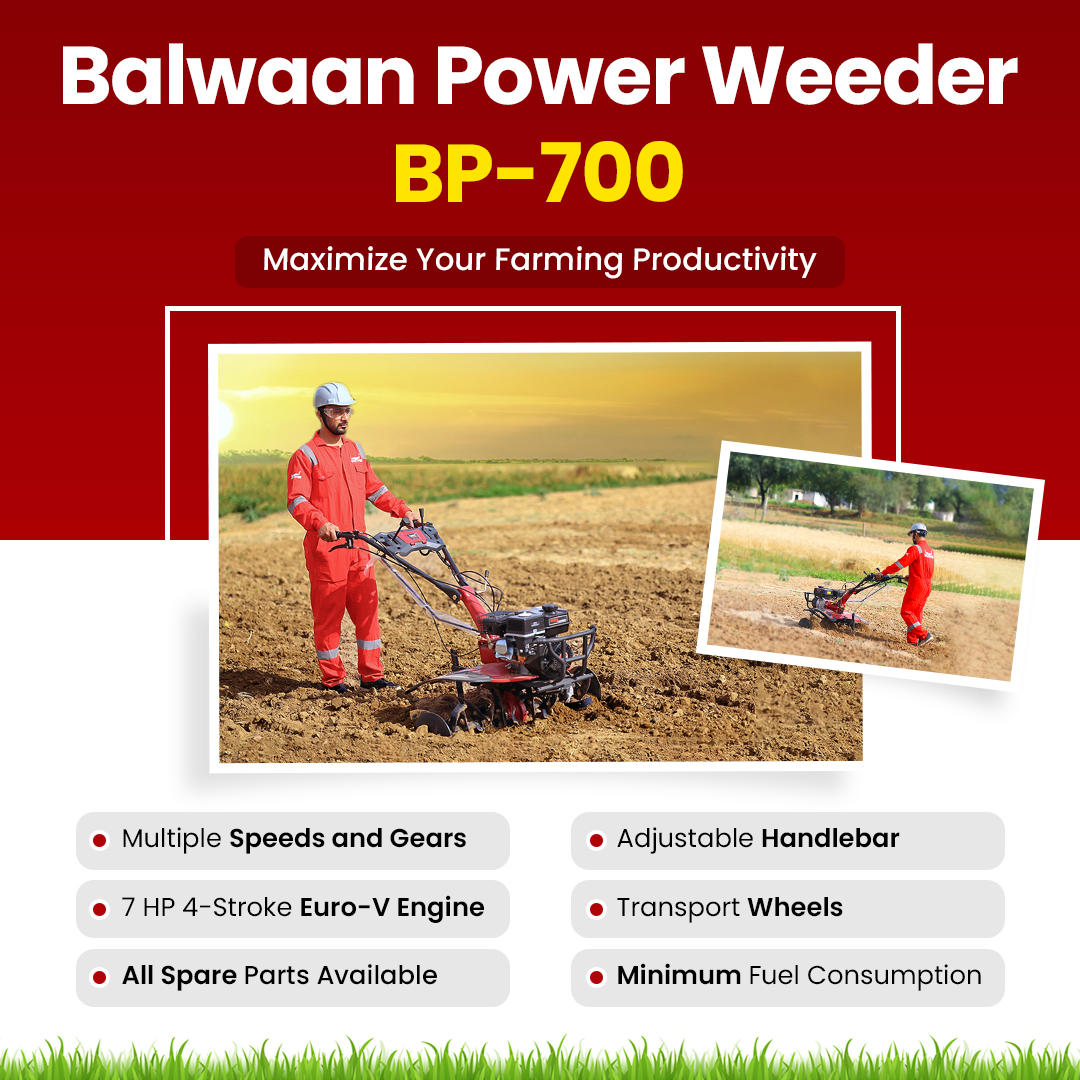 Balwaan BP 700 Power Weeder- Red Tiger (Petrol) 3
