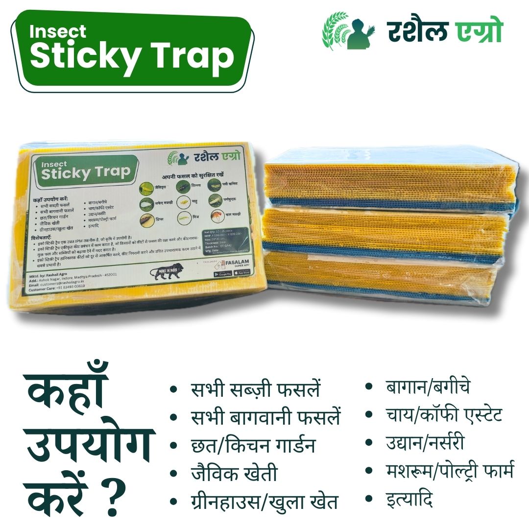 Product 4