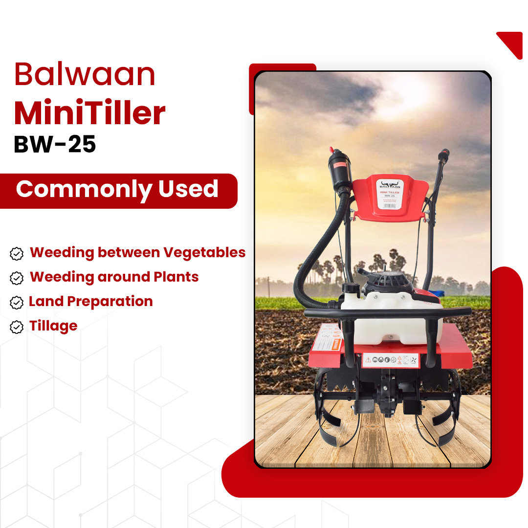 Balwaan BW 25 Mini Tiller 8