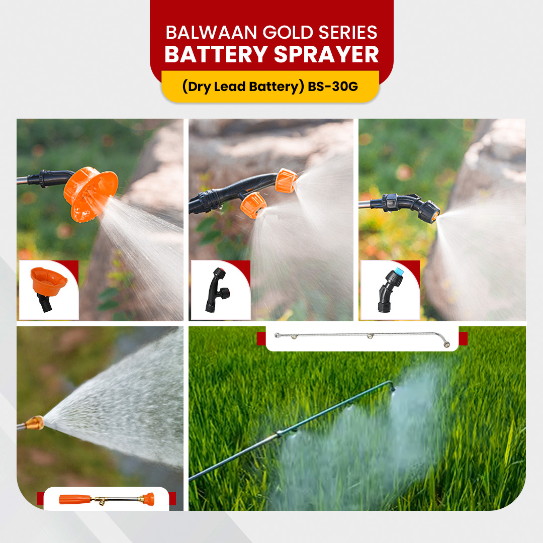 Balwaan BS 30G (Gold Series) Battery Sprayer 10
