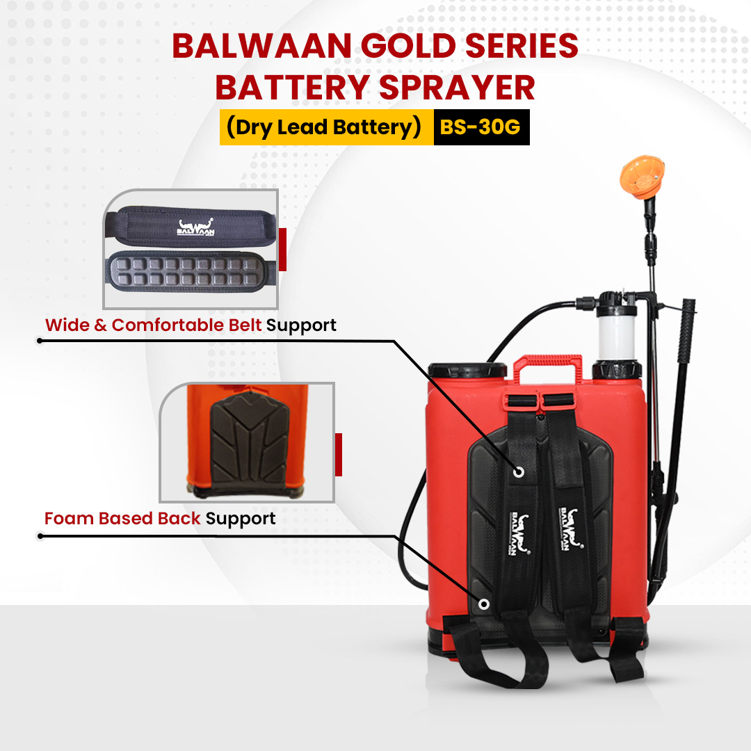Balwaan BS 30G (Gold Series) Battery Sprayer 7